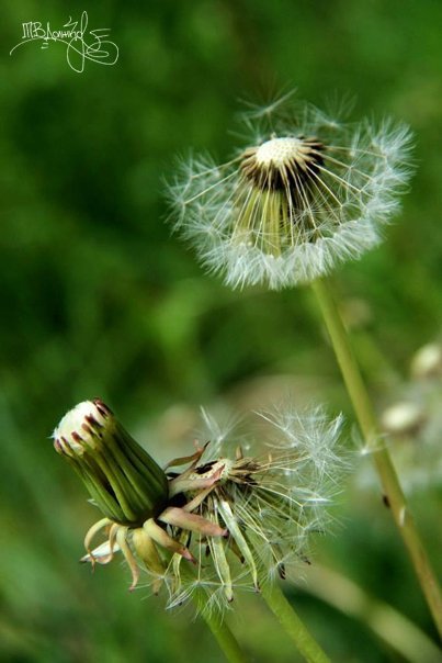 Фотовиставка Тетяни Должко